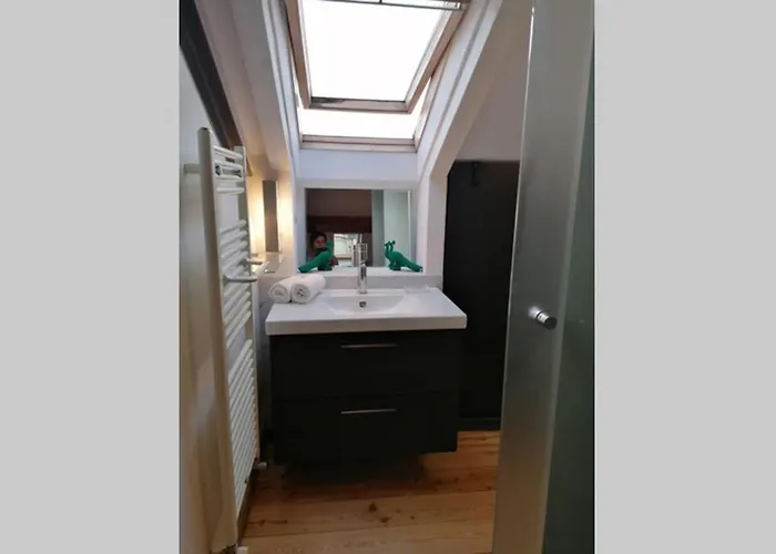 아파트 01 Attic Mansarda Secondo Piano No Ascensore No 아로나